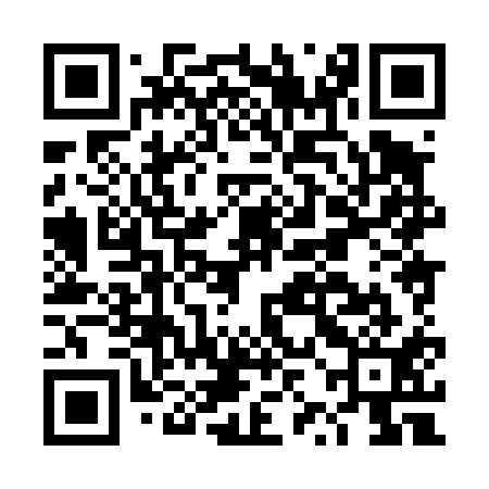 QR code for DZH411