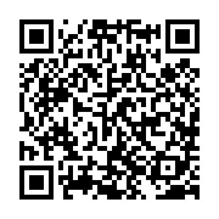 QR code for DZH489