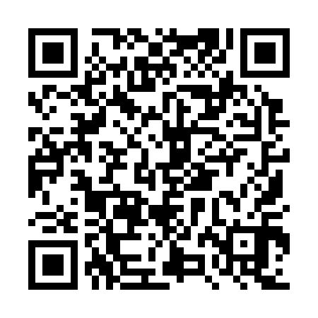 QR code for DZI310
