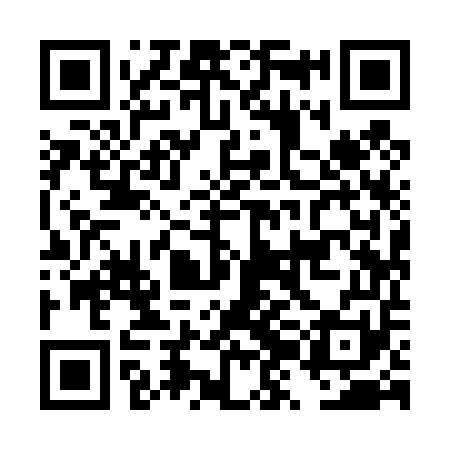 QR code for DZI451