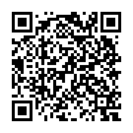 QR code for DZI613