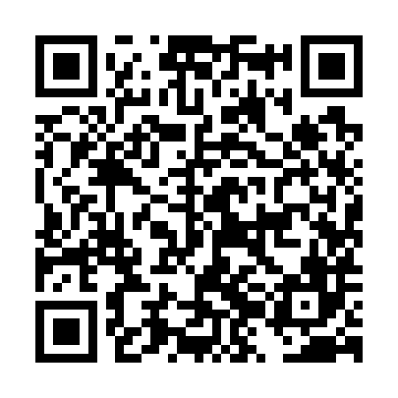 QR code for DZI786