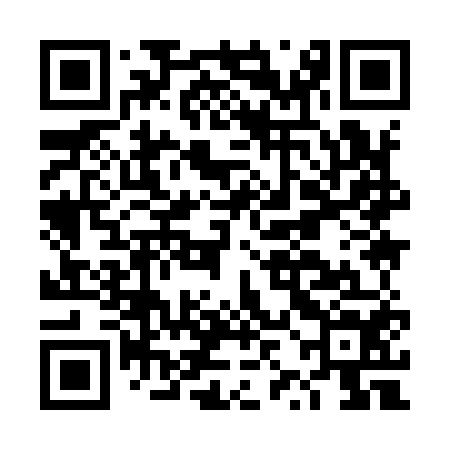 QR code for DZI954