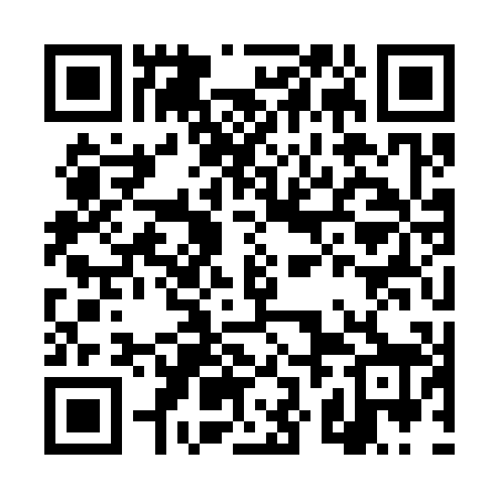 QR code for DZK308