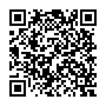 QR code for DZK597