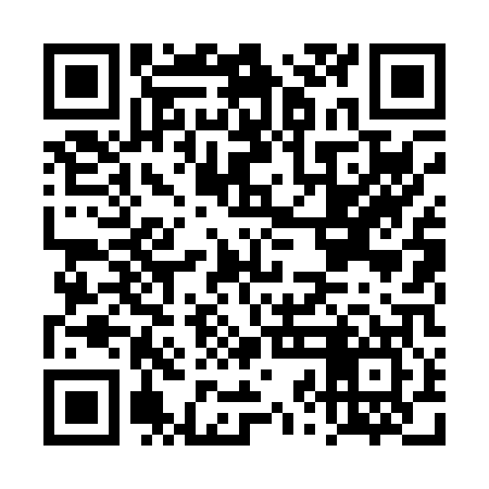 QR code for DZL007
