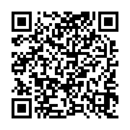 QR code for DZL213