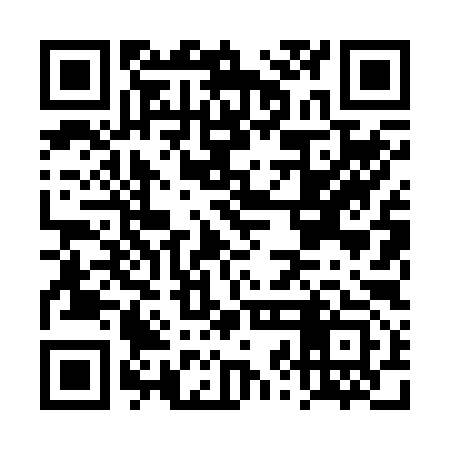 QR code for DZL293