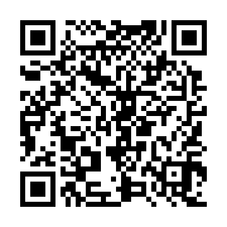 QR code for DZL310