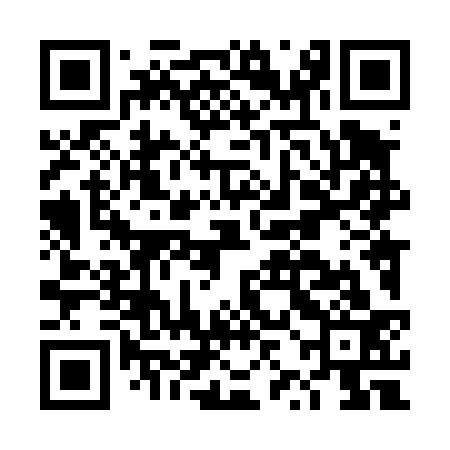 QR code for DZL433
