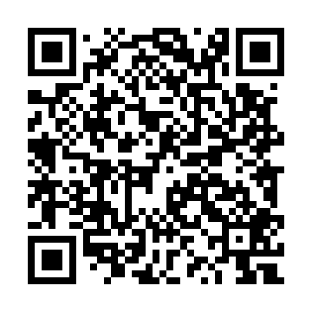 QR code for DZL509