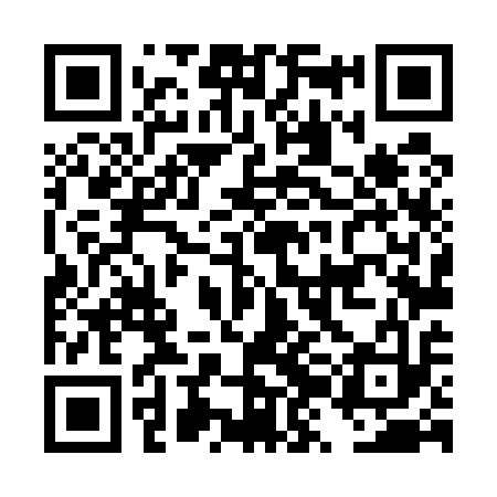 QR code for DZL513