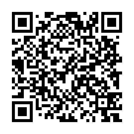 QR code for DZL539