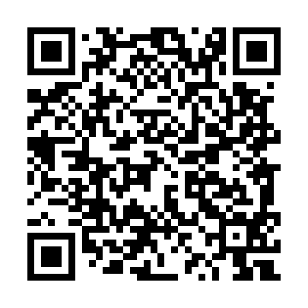 QR code for DZL594