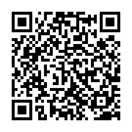 QR code for DZL595