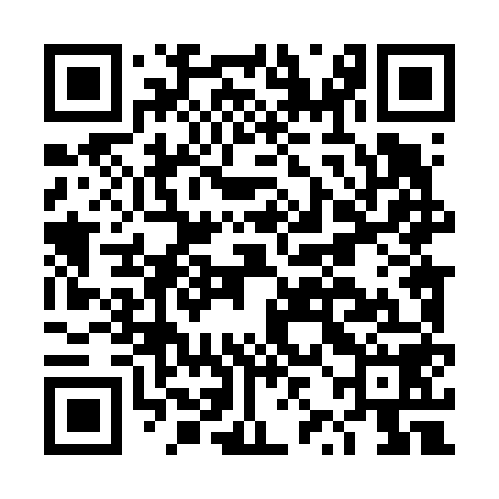 QR code for DZL658