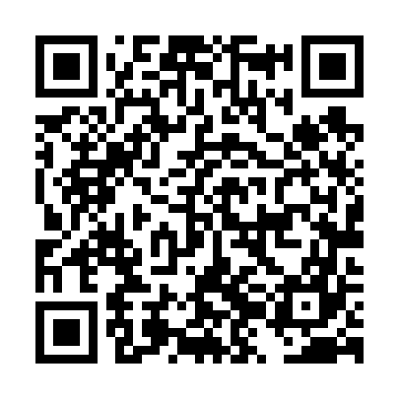 QR code for DZL667