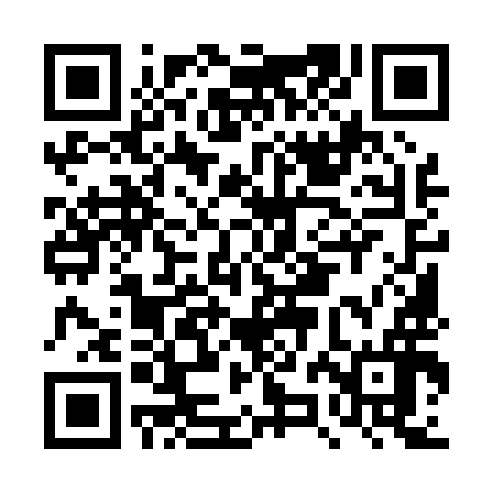QR code for DZM096