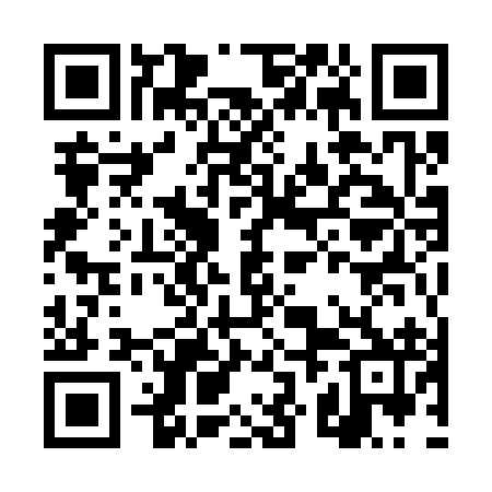 QR code for DZM392