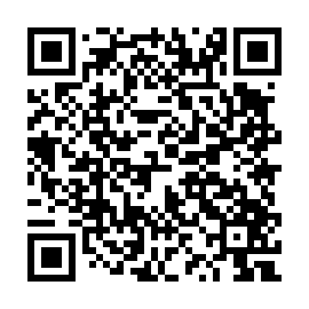 QR code for DZM447