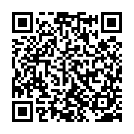 QR code for DZM540