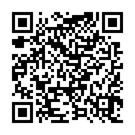 QR code for DZN707