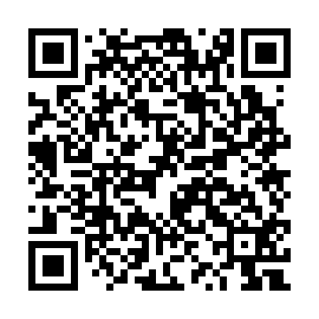 QR code for DZO312