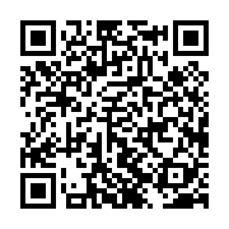 QR code for DZP029