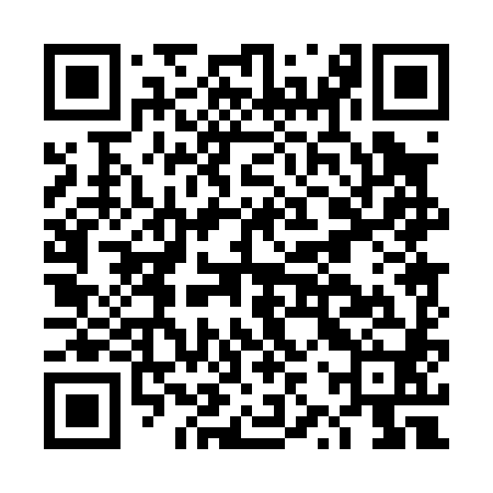 QR code for DZP080