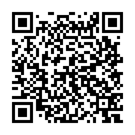 QR code for DZP173