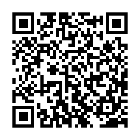 QR code for DZP374