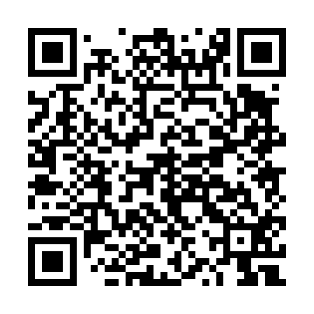 QR code for DZP412
