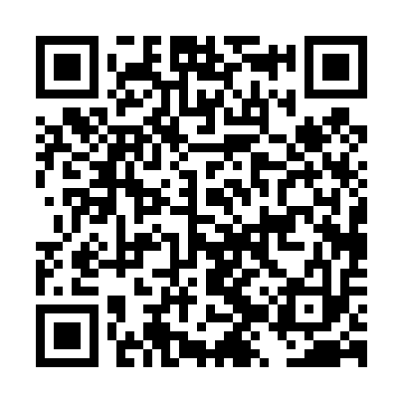 QR code for DZP413