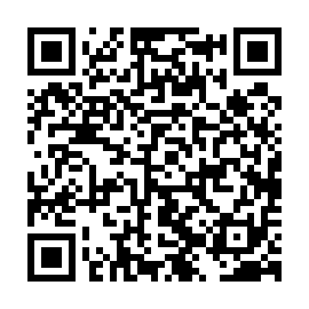 QR code for DZP511