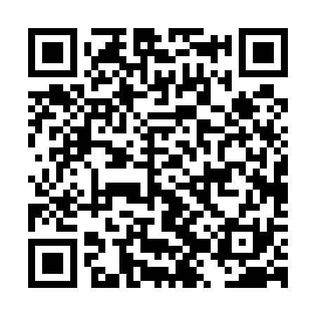 QR code for DZP531