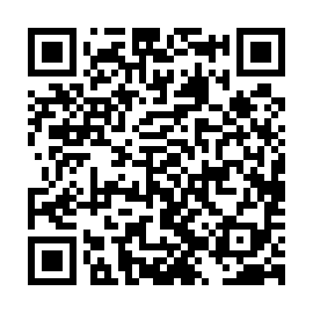 QR code for DZP599