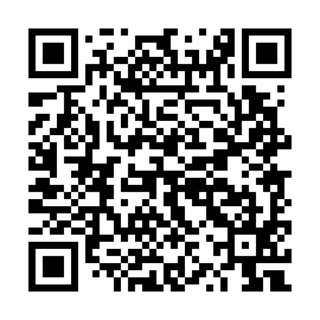 QR code for DZP795