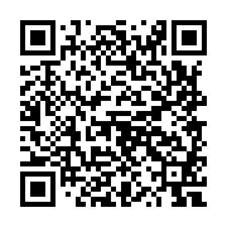QR code for DZP980