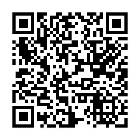 QR code for DZQ379