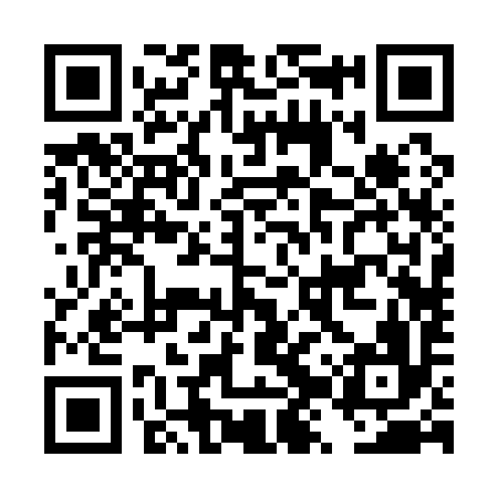 QR code for DZR196