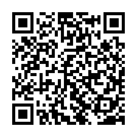 QR code for DZR378