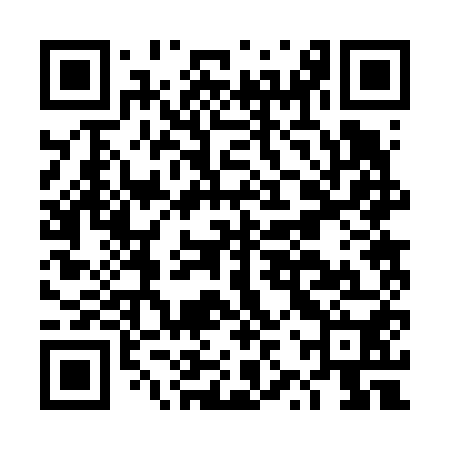 QR code for DZR650