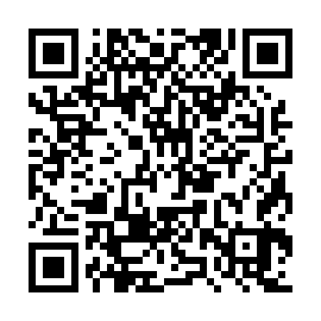 QR code for DZS063