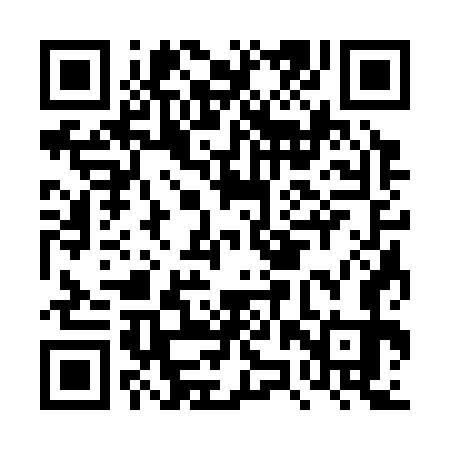 QR code for DZS373