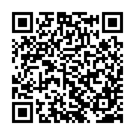 QR code for DZS386