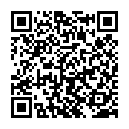 QR code for DZS428