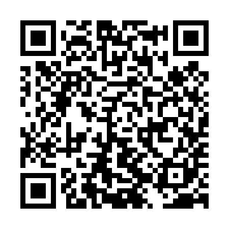 QR code for DZS481