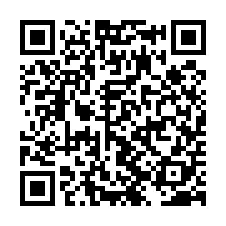 QR code for DZS508