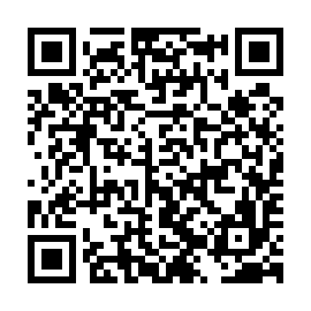 QR code for DZS596
