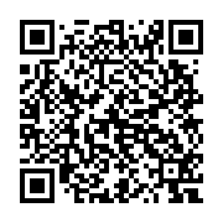 QR code for DZS713